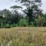  Land for sale in Tampak Siring, Gianyar, Tampak Siring