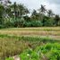  Land for sale in Tampak Siring, Gianyar, Tampak Siring