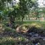  Land for sale in Tuxtla Gutierrez, Chiapas, Tuxtla Gutierrez, Chiapas