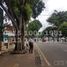  Land for sale in Universitas Katolik Indonesia Atma Jaya, Tanah Abang, Menteng