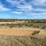  Land for sale in Bulnes, Nuble, Bulnes