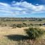  Terreno (Parcela) en venta en Ñuble, Bulnes, Diguillín, Ñuble