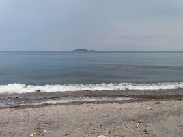 Land for sale in Zamboanguita, Negros Island Region, Zamboanguita