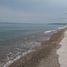  Land for sale in Zamboanguita, Negros Island Region, Zamboanguita
