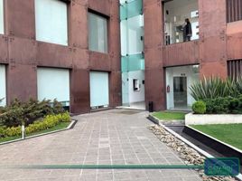 330 m2 Office for rent in Naucalpan De Juarez, Mexico, Naucalpan De Juarez