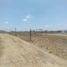  Land for sale in Coatepec, Veracruz, Coatepec