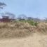 Land for sale in Coatepec, Veracruz, Coatepec