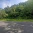  Land for sale in Tepus, Yogyakarta, Tepus, Gunung Kidul
