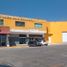 Studio Haus zu vermieten in Pachuca De Soto, Hidalgo, Pachuca De Soto