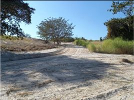  Terreno (Parcela) en venta en Chorro Macho, Chiguirí Arriba, El Valle