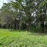  Land for sale in Mercedes, Buenos Aires, Mercedes