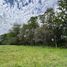  Land for sale in Mercedes, Buenos Aires, Mercedes