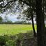  Land for sale in Mercedes, Buenos Aires, Mercedes