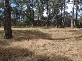  Terreno (Parcela) en venta en Mazamitla, Jalisco, Mazamitla