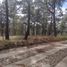  Terreno (Parcela) en venta en Mazamitla, Jalisco, Mazamitla