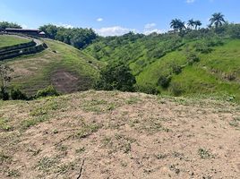  Land for sale in Pereira, Risaralda, Pereira