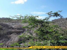  Land for sale in Abdon Calderon La Union, Santa Isabel, Abdon Calderon La Union