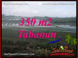  Land for sale in Selemadeg, Tabanan, Selemadeg