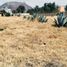  Land for sale in Iztapalapa, Mexico City, Iztapalapa