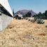  Land for sale in Iztapalapa, Mexico City, Iztapalapa