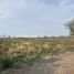  Land for sale in Montemorelos, Nuevo Leon, Montemorelos
