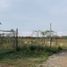  Land for sale in Montemorelos, Nuevo Leon, Montemorelos