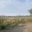  Land for sale in Montemorelos, Nuevo Leon, Montemorelos