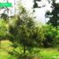  Land for sale in Bogor Selatan, Bogor, Bogor Selatan