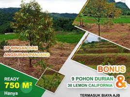  Land for sale in Bogor Selatan, Bogor, Bogor Selatan