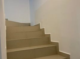 3 Schlafzimmer Villa zu vermieten in Monterrey, Nuevo Leon, Monterrey