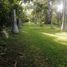 3 Bedroom House for sale in Comalcalco, Tabasco, Comalcalco