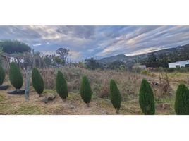  Land for sale in Cuenca, Azuay, Cuenca, Cuenca, Azuay