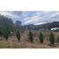  Land for sale in Cuenca, Azuay, Cuenca, Cuenca, Azuay