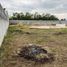  Land for sale in Montemorelos, Nuevo Leon, Montemorelos