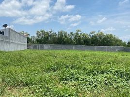  Land for sale in Montemorelos, Nuevo Leon, Montemorelos
