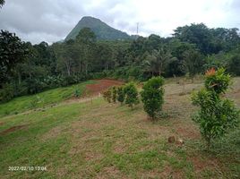  Land for sale in Bogor Selatan, Bogor, Bogor Selatan