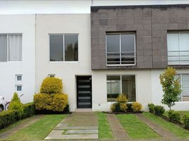 Maison 3 chambre à louer à Toluca, Mexico, Toluca