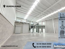 Estudio Casa en alquiler en Guadalajara, Jalisco, Guadalajara