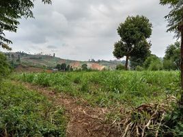  Grundstück zu verkaufen in Cidadap, West Jawa, Cidadap, Bandung