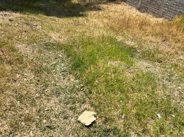  Land for sale in Tarimbaro, Michoacan, Tarimbaro