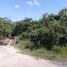  Terreno (Parcela) en venta en Othon P Blanco, Quintana Roo, Othon P Blanco, Quintana Roo