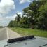  Terreno (Parcela) en venta en Othon P Blanco, Quintana Roo, Othon P Blanco, Quintana Roo