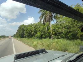  Terreno (Parcela) en venta en Othon P Blanco, Quintana Roo, Othon P Blanco, Quintana Roo