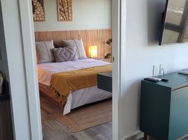 메리다, 유카탄PropertyTypeNameBedroom, 메리다