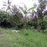  Tanah for sale in Selemadeg, Tabanan, Selemadeg