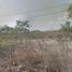  Terreno (Parcela) en venta en Zapotlanejo, Jalisco, Zapotlanejo