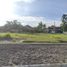  Land for sale in Yogyakarta, Gamping, Sleman, Yogyakarta