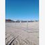  Land for rent in Torreon, Coahuila, Torreon
