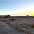  Land for rent in Torreon, Coahuila, Torreon
