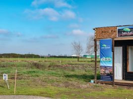  Land for sale in Chile, Pelarco, Talca, Maule, Chile